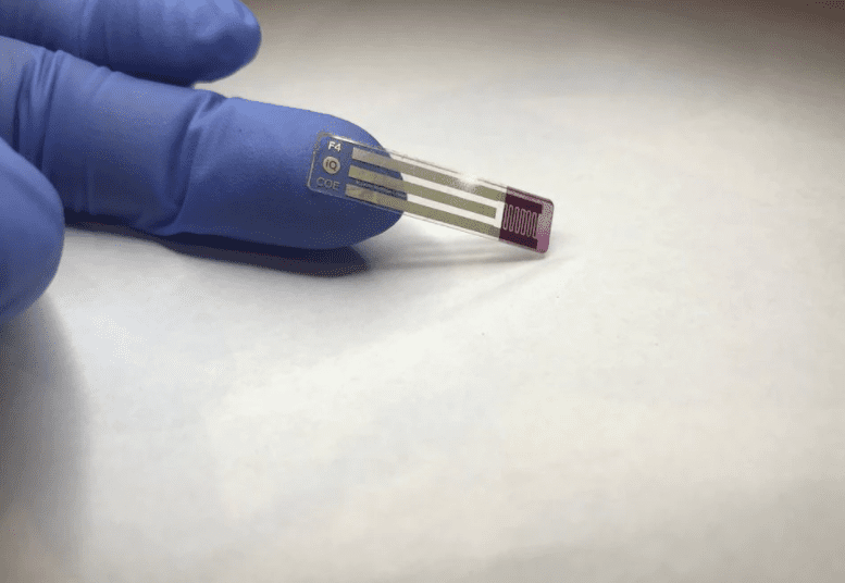 Scientists develop non-invasive strip that checks glucose levels via saliva for diabetics