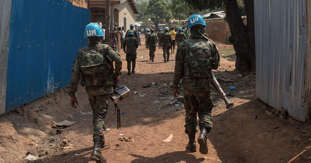 Government troops die in rebel attacks in the Central African Republic