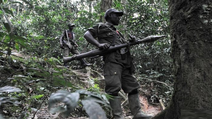 DR Congo wildlife guards kill two rebels after ambush