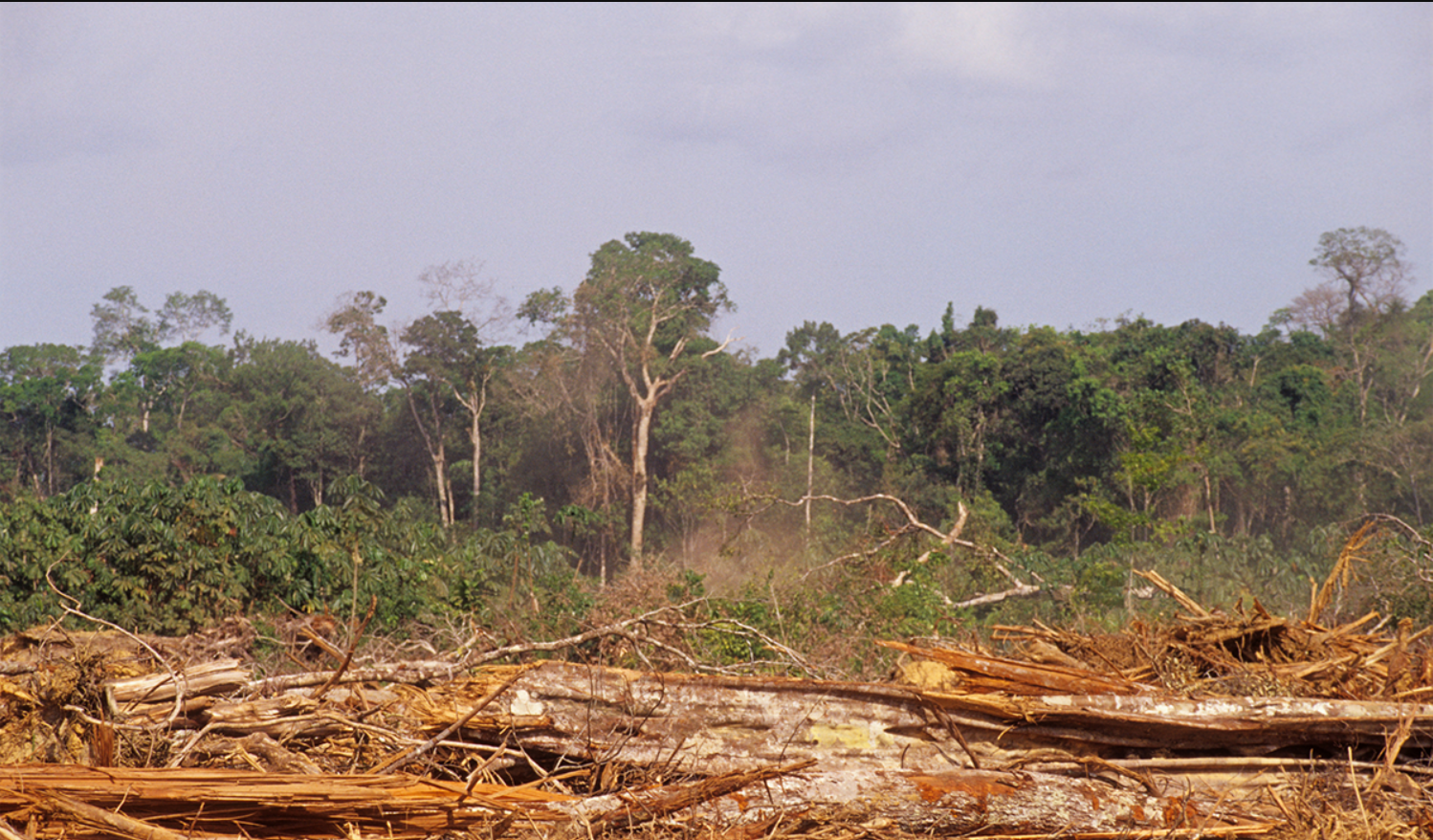 Kenyan pilot project to put price on nature’s treasure