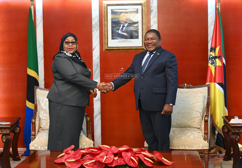 Tanzania and Mozambique sign agreements to fight terrorism