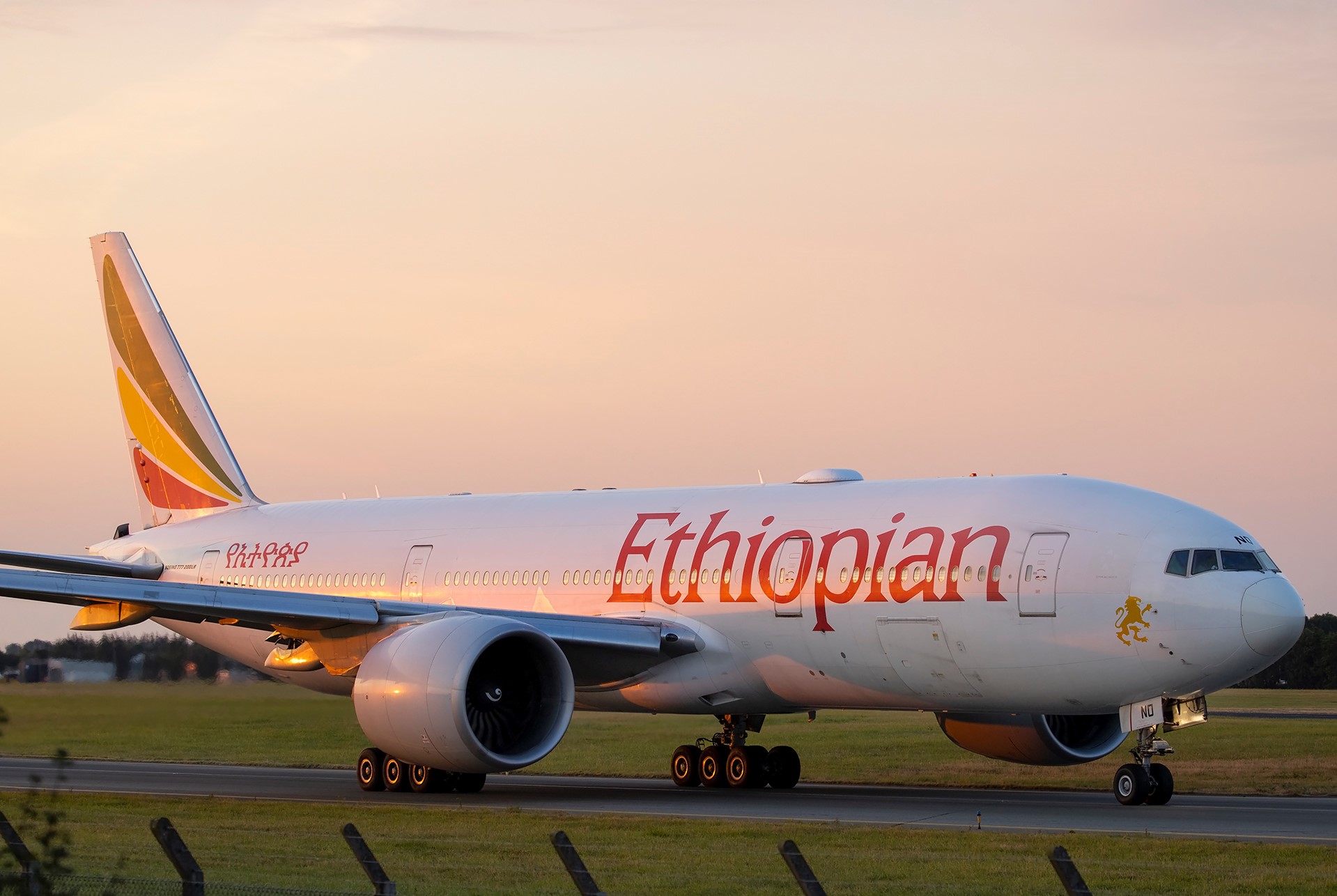 Ethiopian Airlines makes first flight to Tigray in 18 months