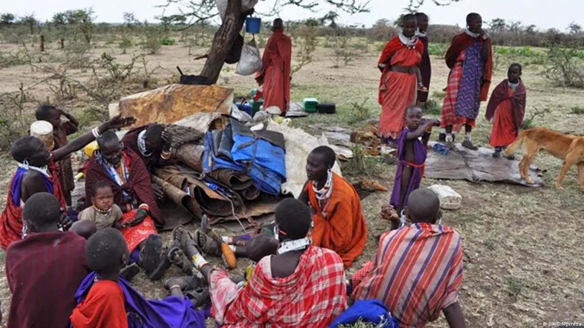 Amnesty International :Polisi walitumia nguvu zaidi kuwaondoa wamaasai Loliondo