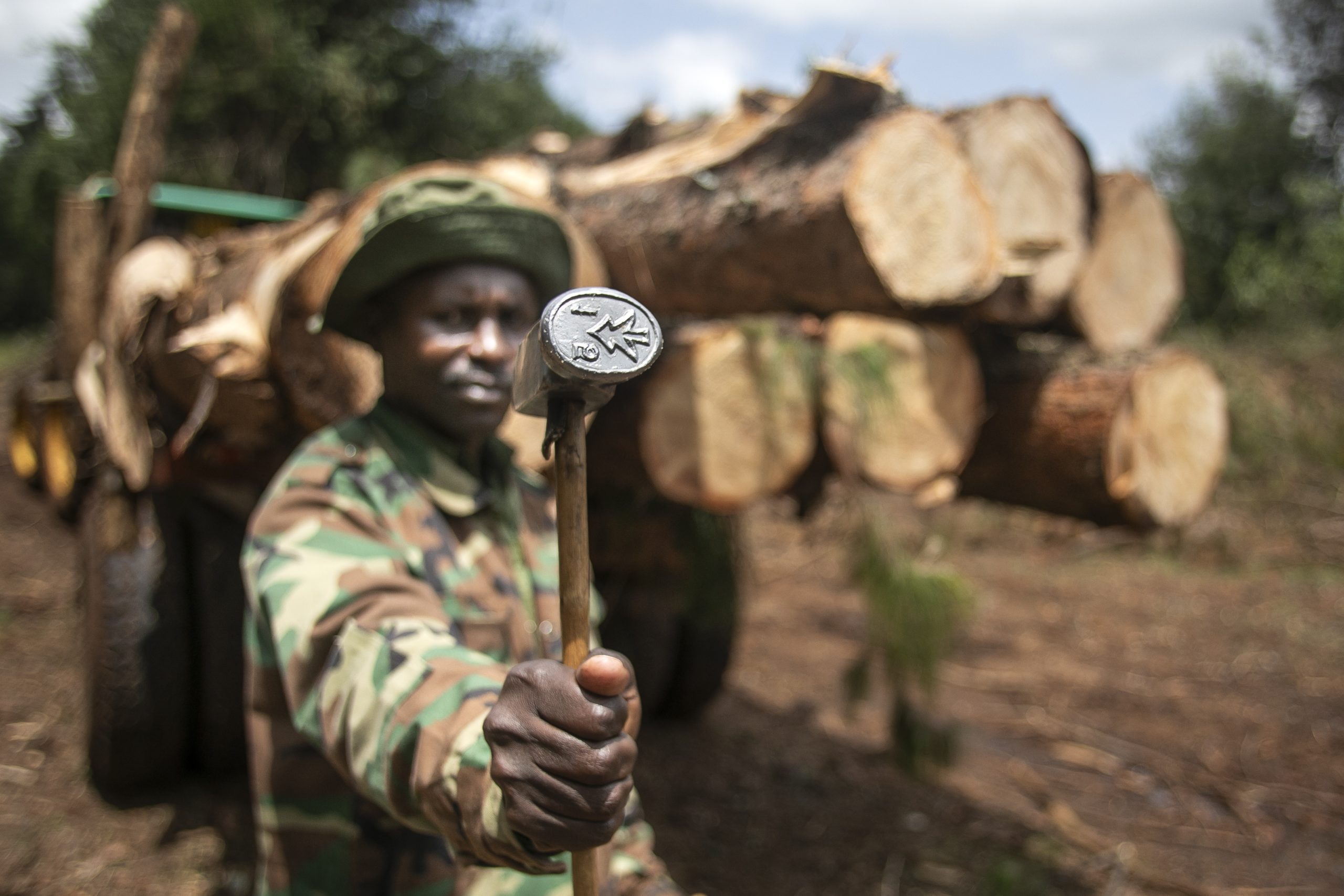 Relief and despair: repeal of logging ban divides Kenya