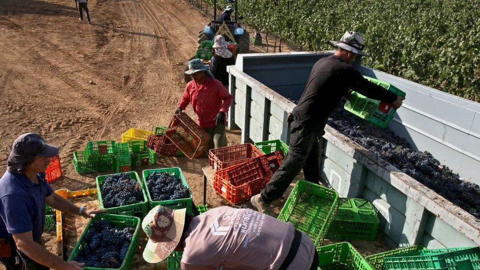 Kenya to send 1,500 farm workers to Israel amid Hamas war