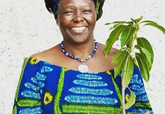 Wangari-Maathai-1-556x385.jpg