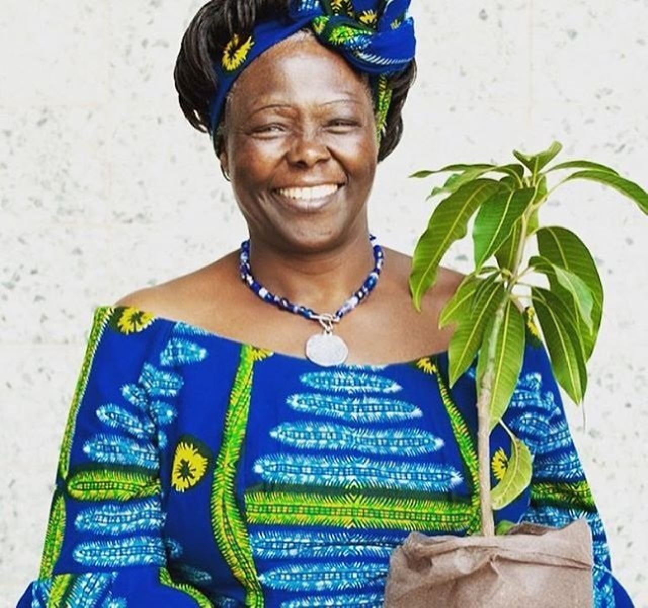 Wangari Maathai: Africa’s Trailblazing Nobel Laureate