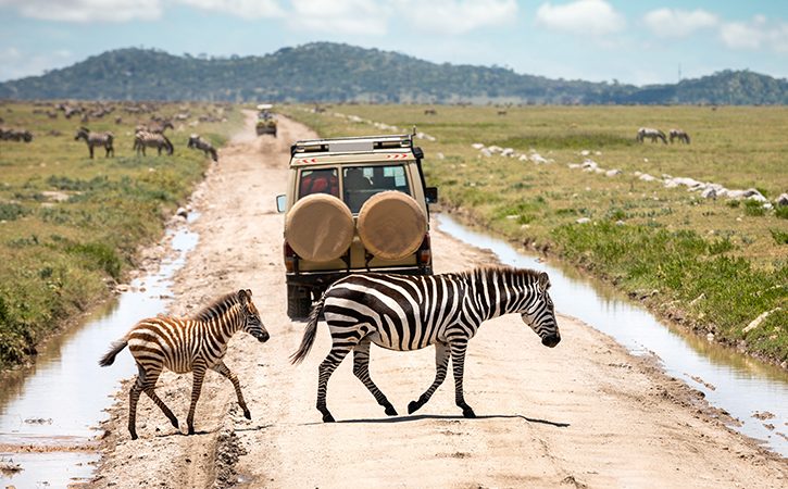 Mtalii mmoja mwenye asili ya China afariki kwa ajali katika Hifadhi ya Serengeti