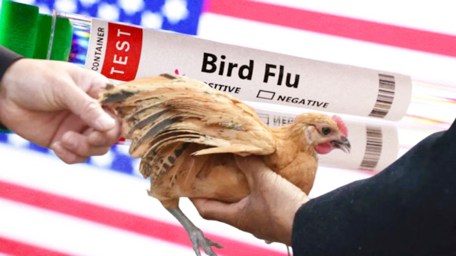 US Records Its First Human Death From Bird Flu