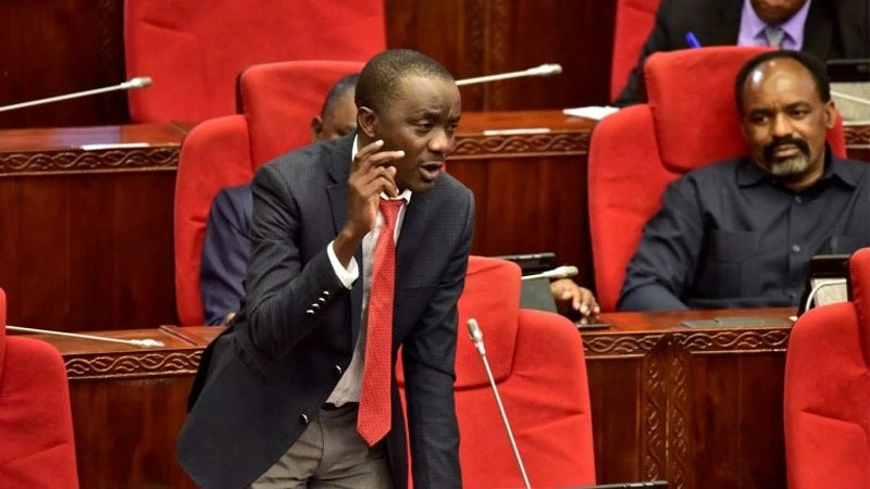 ‘’English is not our priority’’, Tanzanian MP warns Kenyans over online troll
