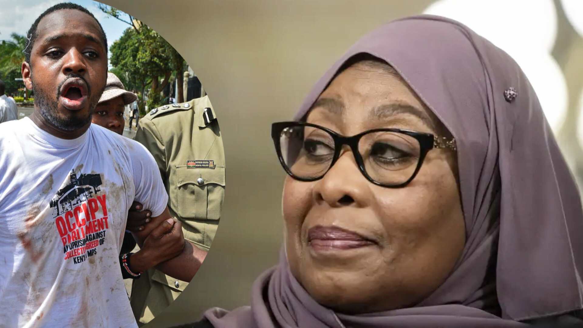 President Samia Suluhu denies Kenya access to detained activist Boniface Mwangi
