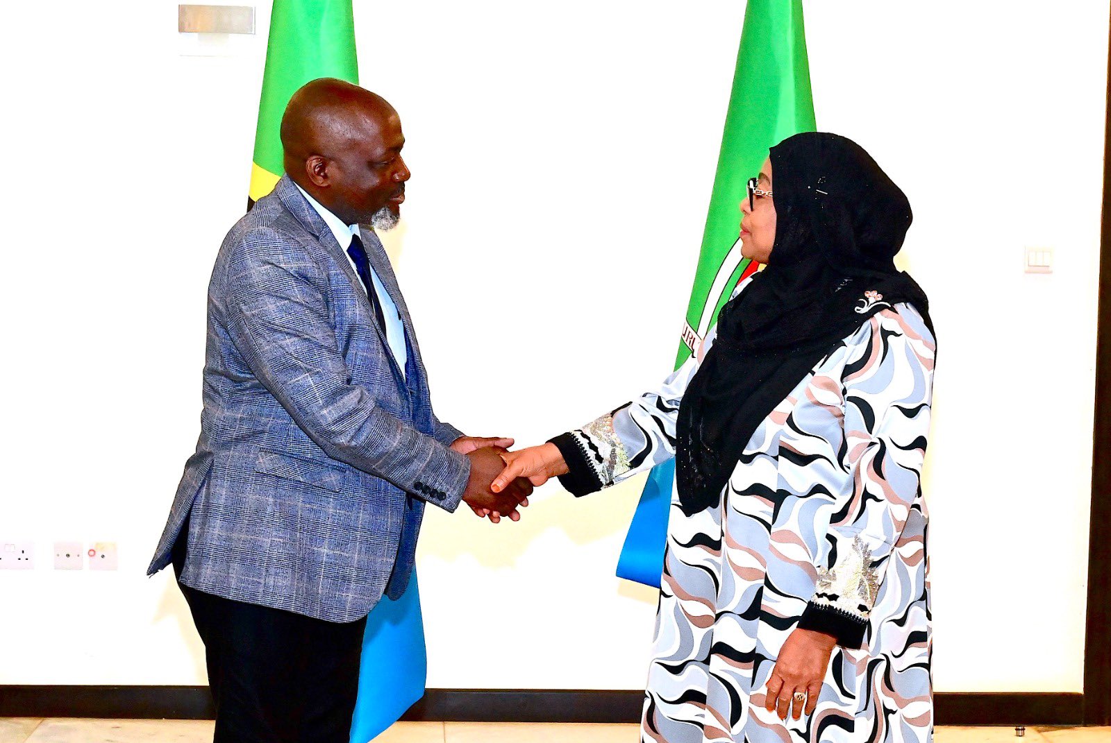 Mwabukusi presents Tundu Lissu’s case to president Samia Suluhu