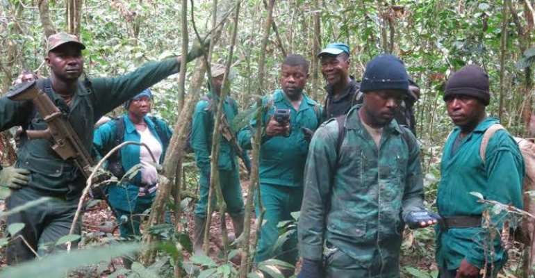 Gunmen Kill 12 Forest Guards in Central Nigeria