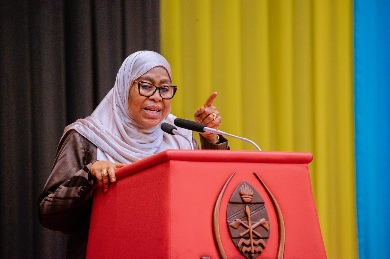 Samia:Vurugu za Oktoba 29, zimeishushia hadhi Tanzania Kimataifa
