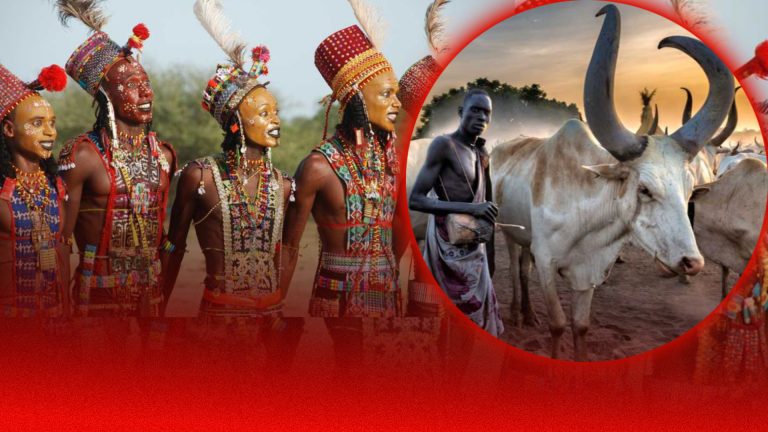 Five Things to Know About Central African Republic