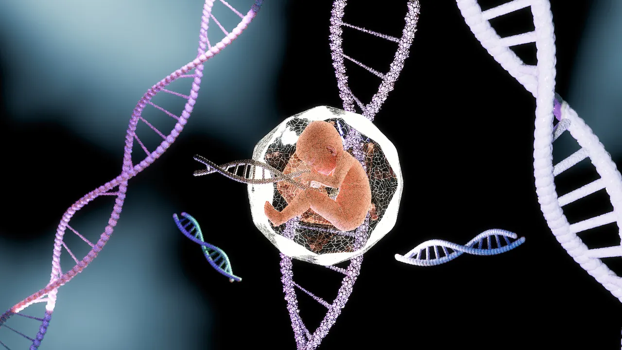 AI Tools Help Choose Best Embryos for IVF