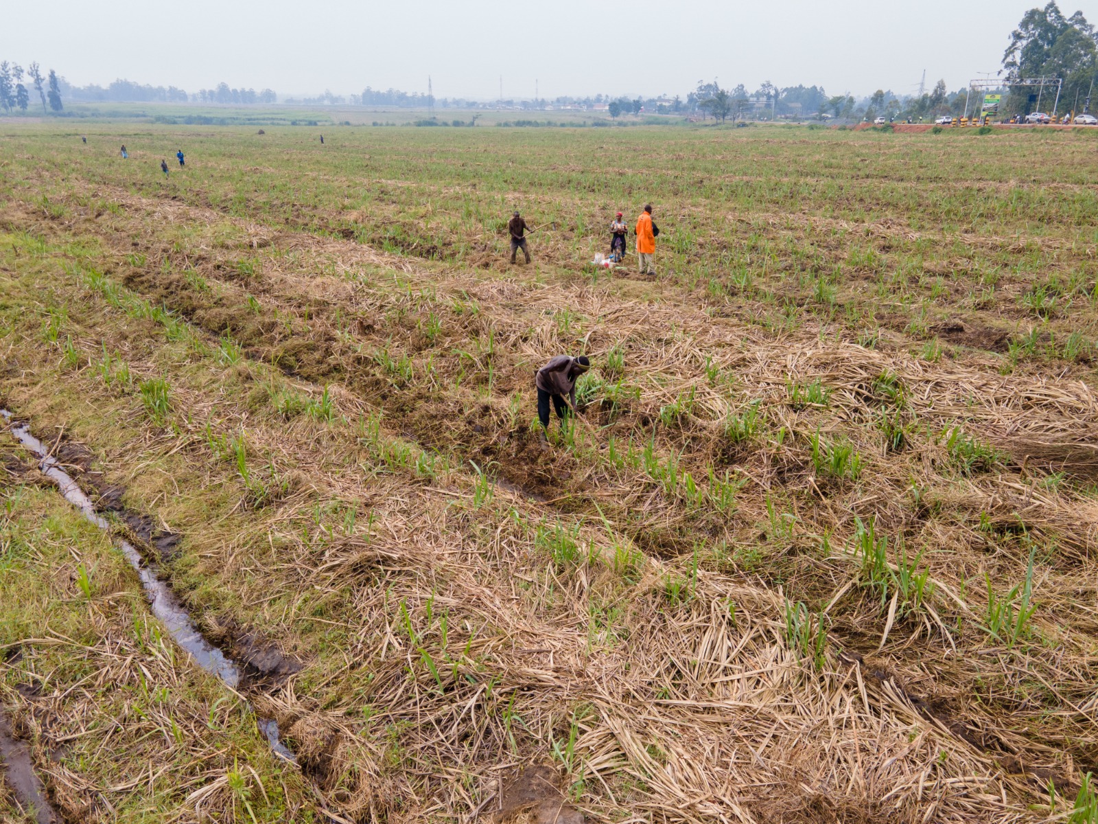 Farmer-Centred Reforms Drive Sugar Sector Recovery, Board says,