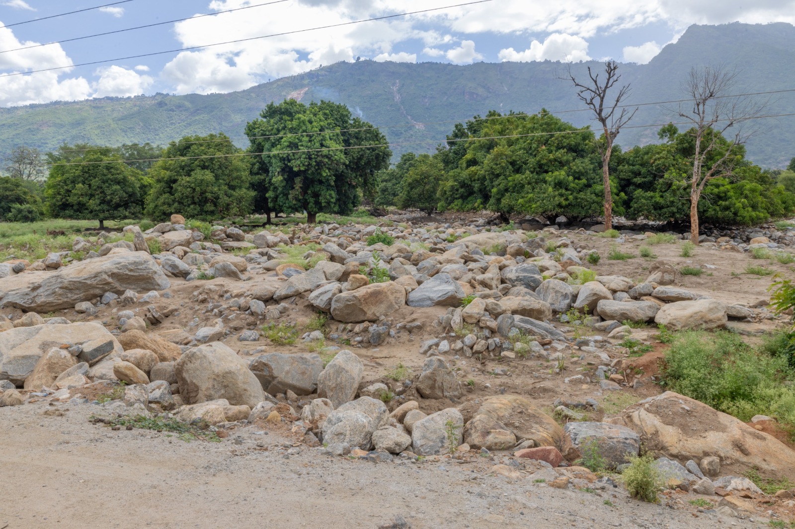 Ancestors Knew Best: Chesongoch Tragedy Sparks Urgent Call to Protect Forests