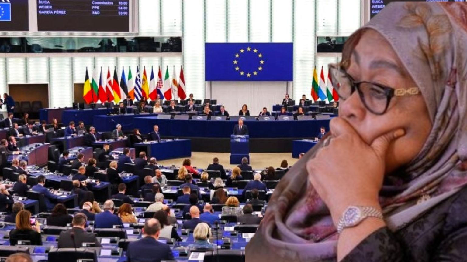 European Parliament Adopts Resolution to Suspend Financing to Tanzania