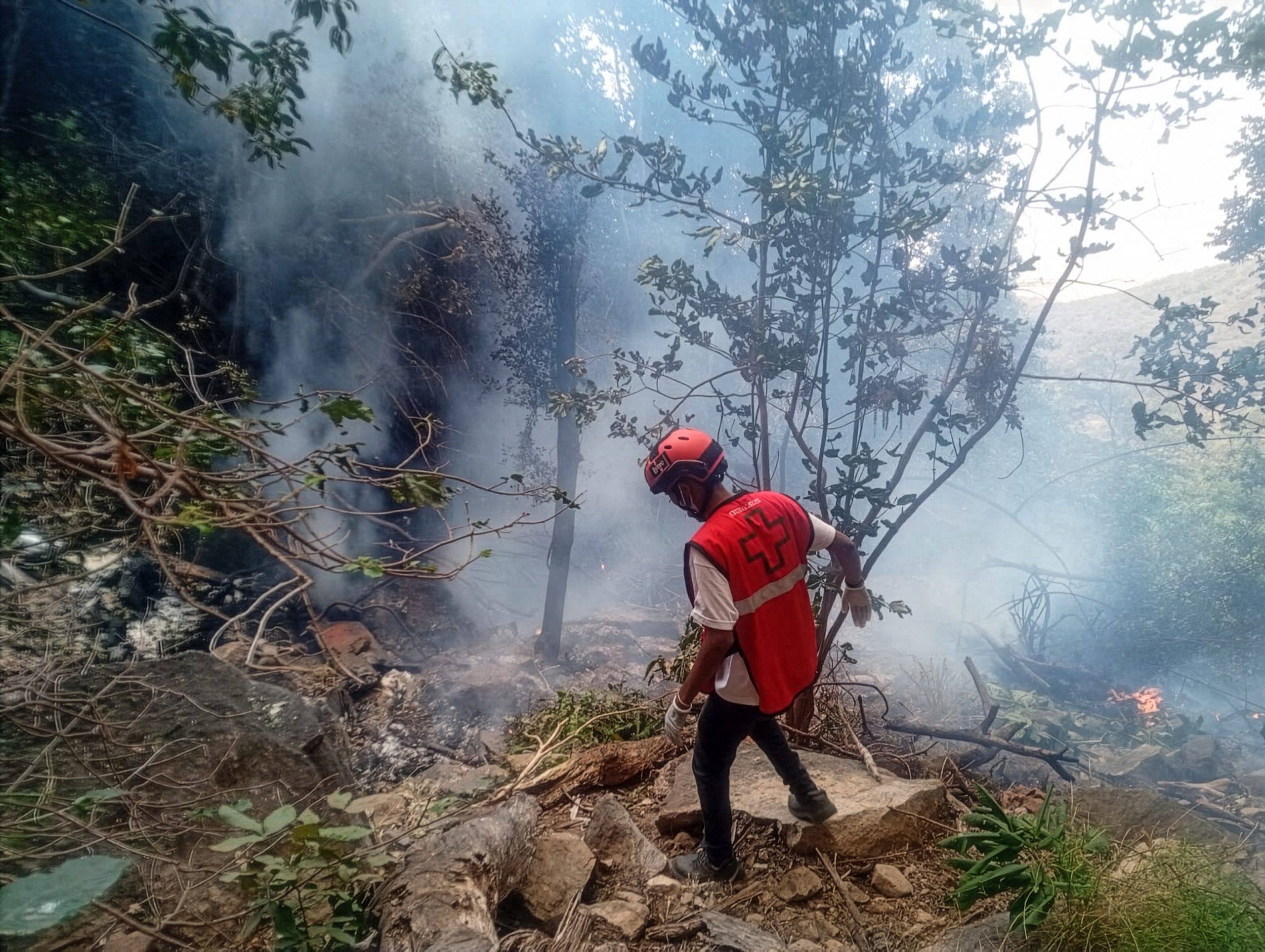 Ecuador intel chief, five Americans killed in Kenya helicopter crash