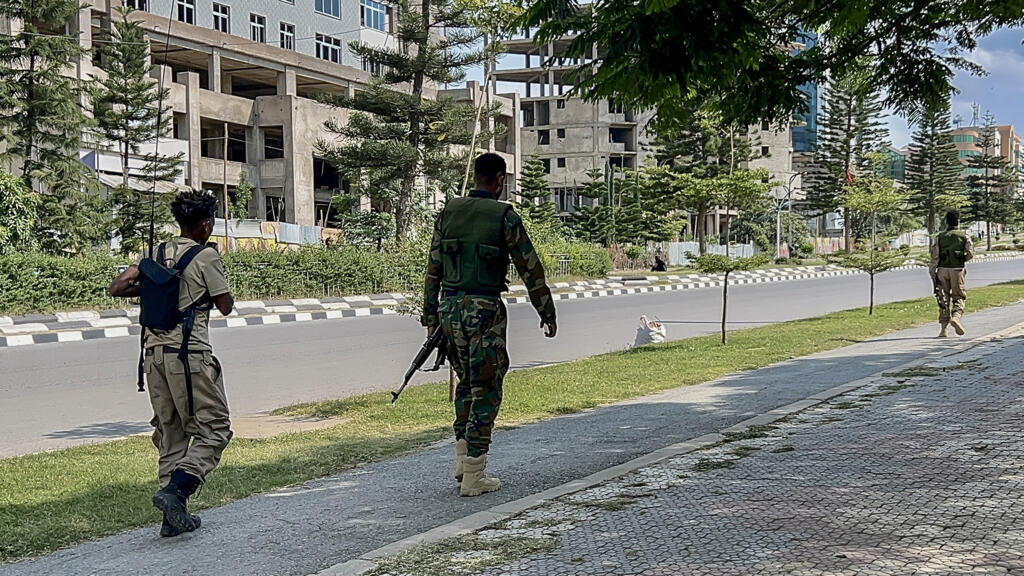 Ethiopian army says 272 rebels killed in Amhara assault