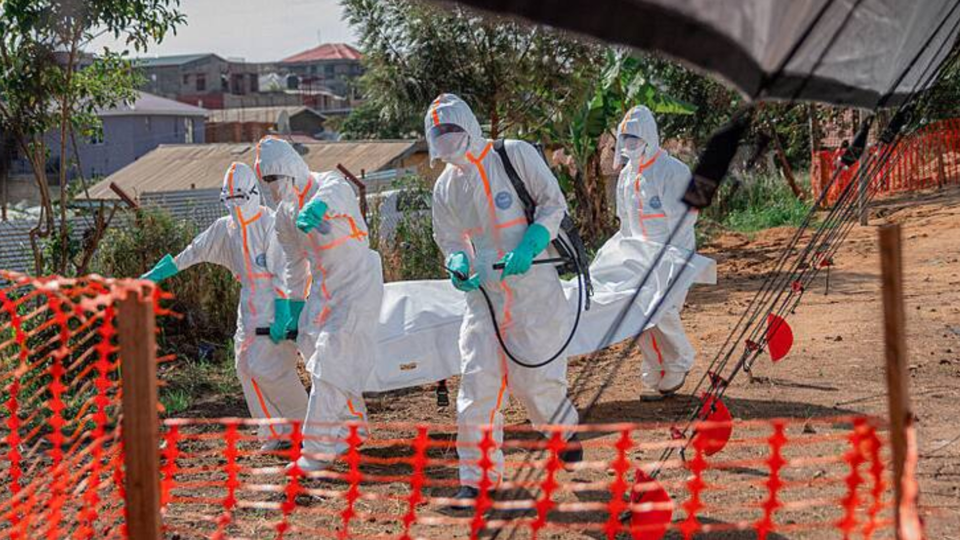 Ebola Death Toll Passes 3,000 in DR Congo: Official Data