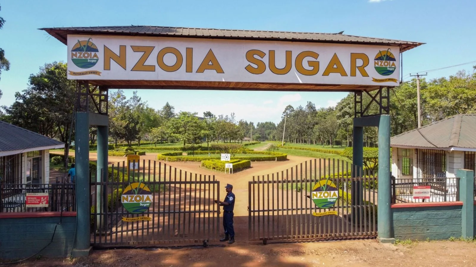 New Hope as Nzoia Sugar’s Revival is Transforming Lives in Bungoma
