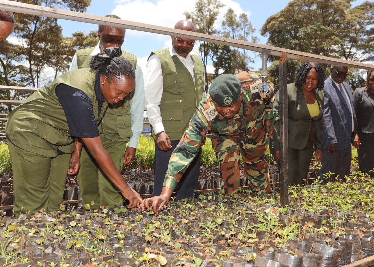 Mazingira Week Shifts Focus From Tree Planting to Tree Survival